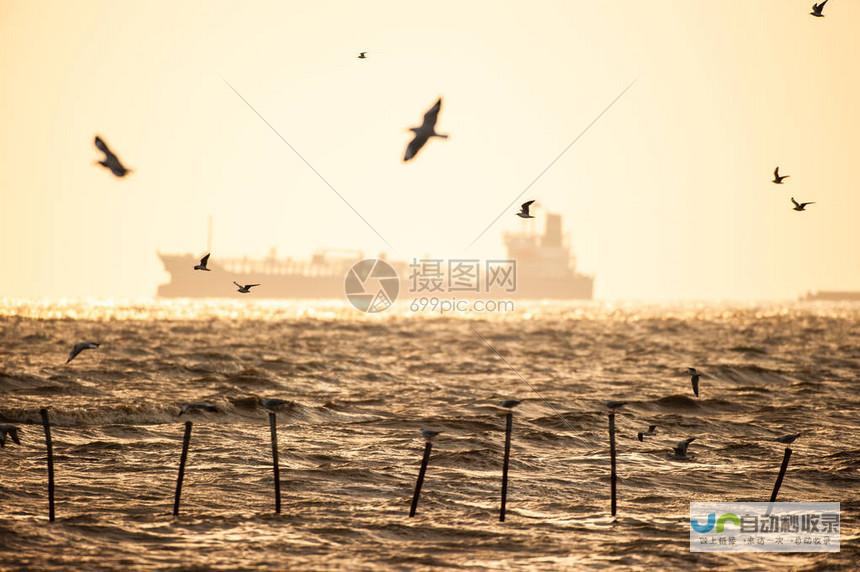 暴风雨即将来临 及时采取应对措施