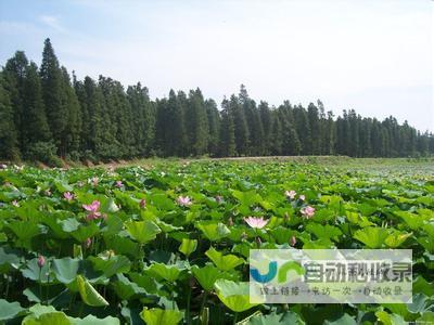 详细解析未来天气状况与气象预测