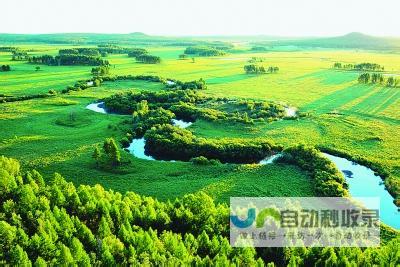 山岳森林区域的天气变化解读