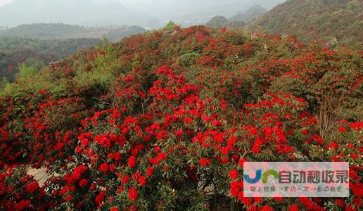 天气趋势分析尽在掌握 最新气象资讯 每日天气预报