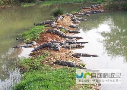 最新天气预报一览无余 聚焦宣城