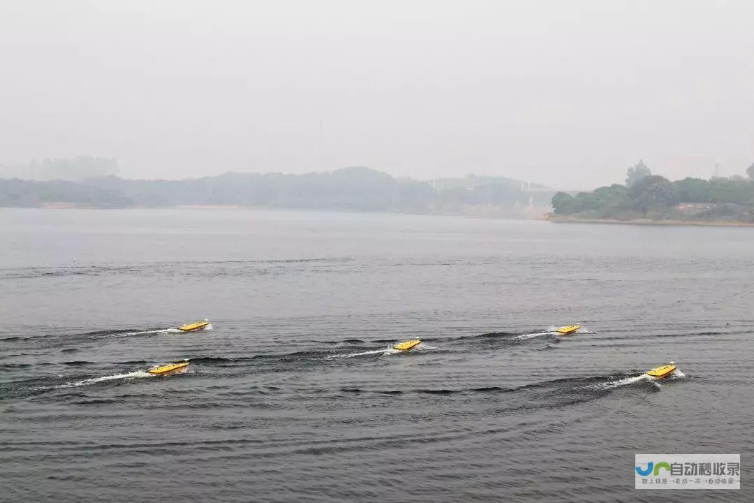 海岛生存冒险