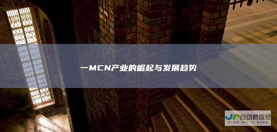 一MCN产业的崛起与发展趋势