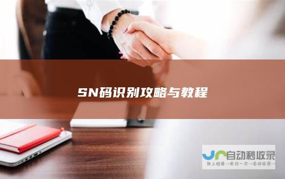 SN码识别攻略与教程