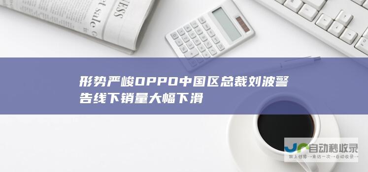 形势严峻 OPPO中国区总裁刘波警告线下销量大幅下滑