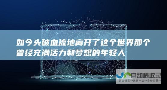 如今头破血流地离开了这个世界 那个曾经充满活力和梦想的年轻人