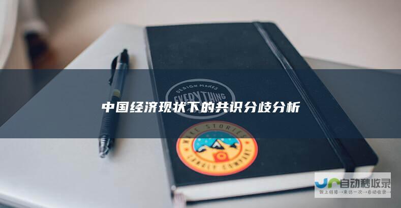 中国经济现状下的共识分歧分析