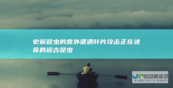 史前昆虫的意外遭遇 叶片攻击正在进食的远古昆虫