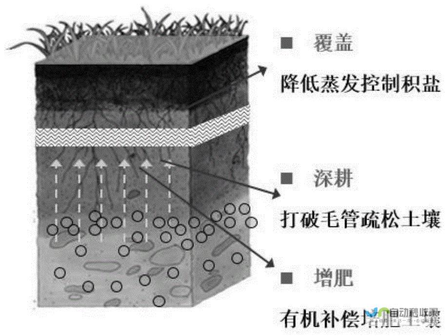 揭秘盐碱地改造背后的科技力量