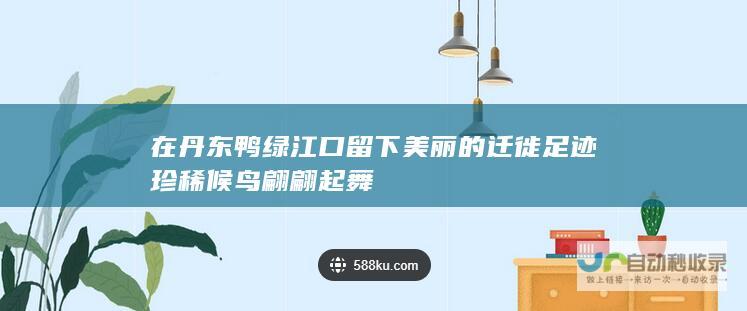 在丹东鸭绿江口留下美丽的迁徙足迹 珍稀候鸟翩翩起舞