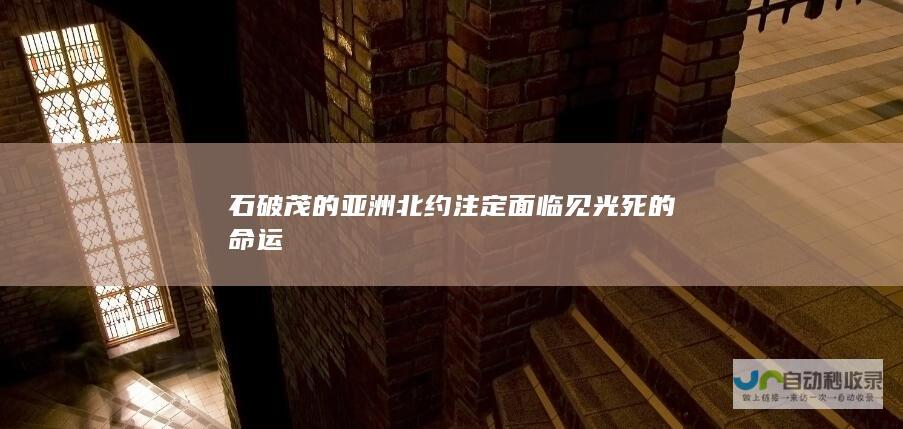 石破茂的亚洲北约注定面临见光死的命运