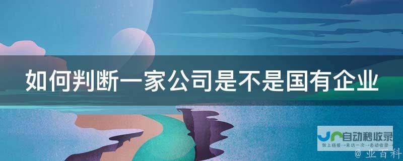 国内某企业的超大半废锅航天炉再次创造奇迹