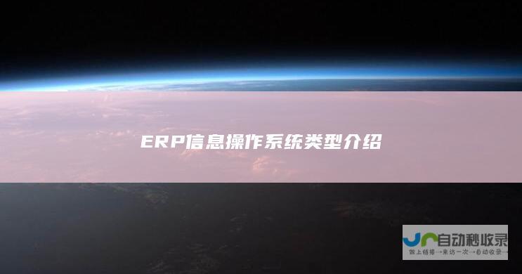 ERP信息操作系统类型介绍