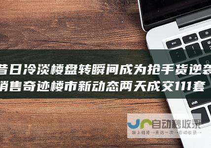 昔日冷淡楼盘转瞬间成为抢手货 逆袭销售奇迹 楼市新动态 两天成交111套