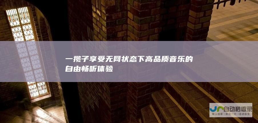 一揽子享受无网状态下高品质音乐的自由畅听体验