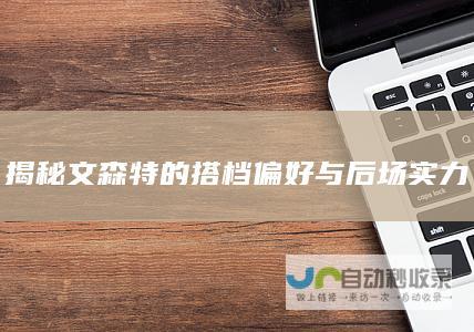 揭秘文森特的搭档偏好与后场实力