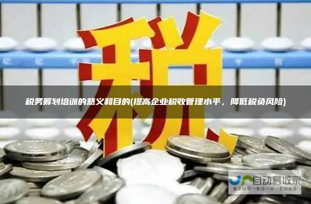 深化税收领域的国际协同 推动共建共赢