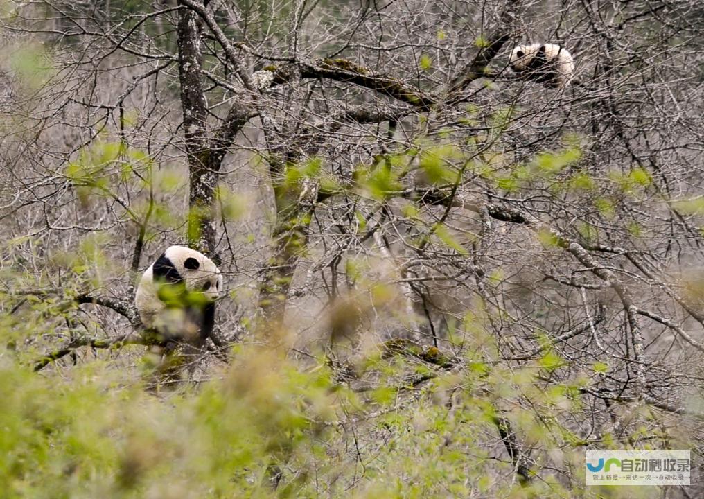 习近平总书记关切事丨给子孙后代留下珍贵的自然遗产