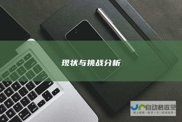 现状与挑战分析