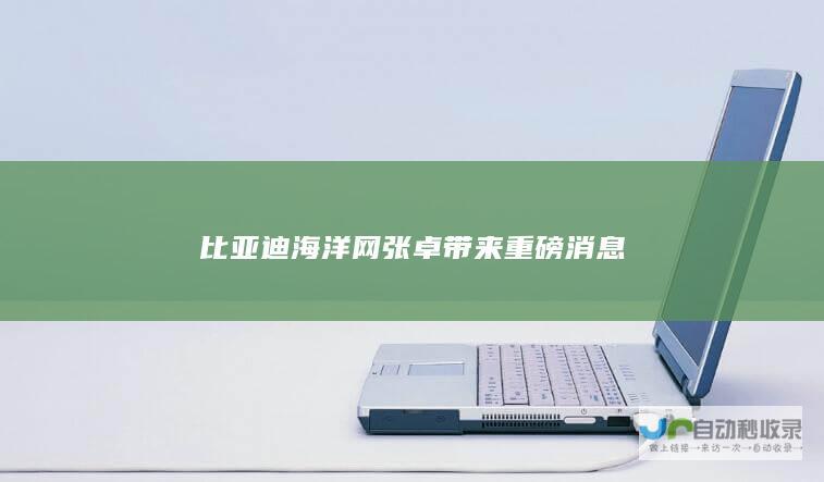 比亚迪海洋网张卓带来重磅消息