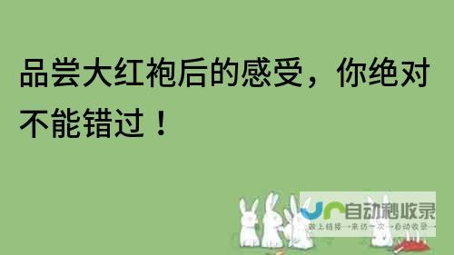 你绝对不能错过的游戏榜单