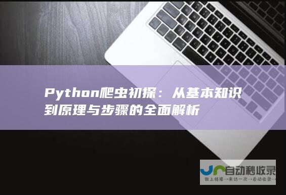 Python爬虫初探：从基本知识到原理与步骤的全面解析