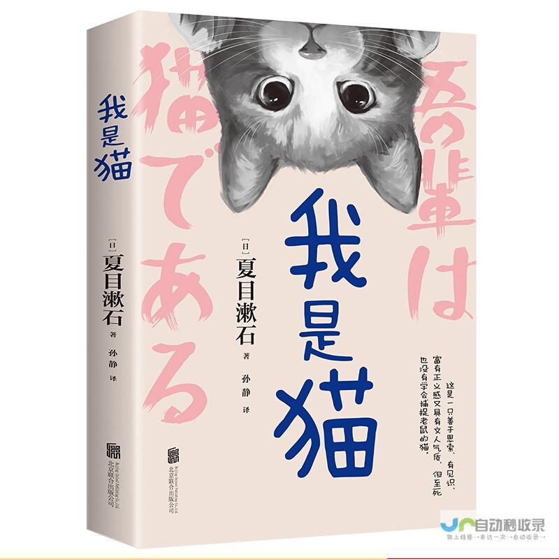 我是猫猫的世界：探索猫奴生活的多彩篇章