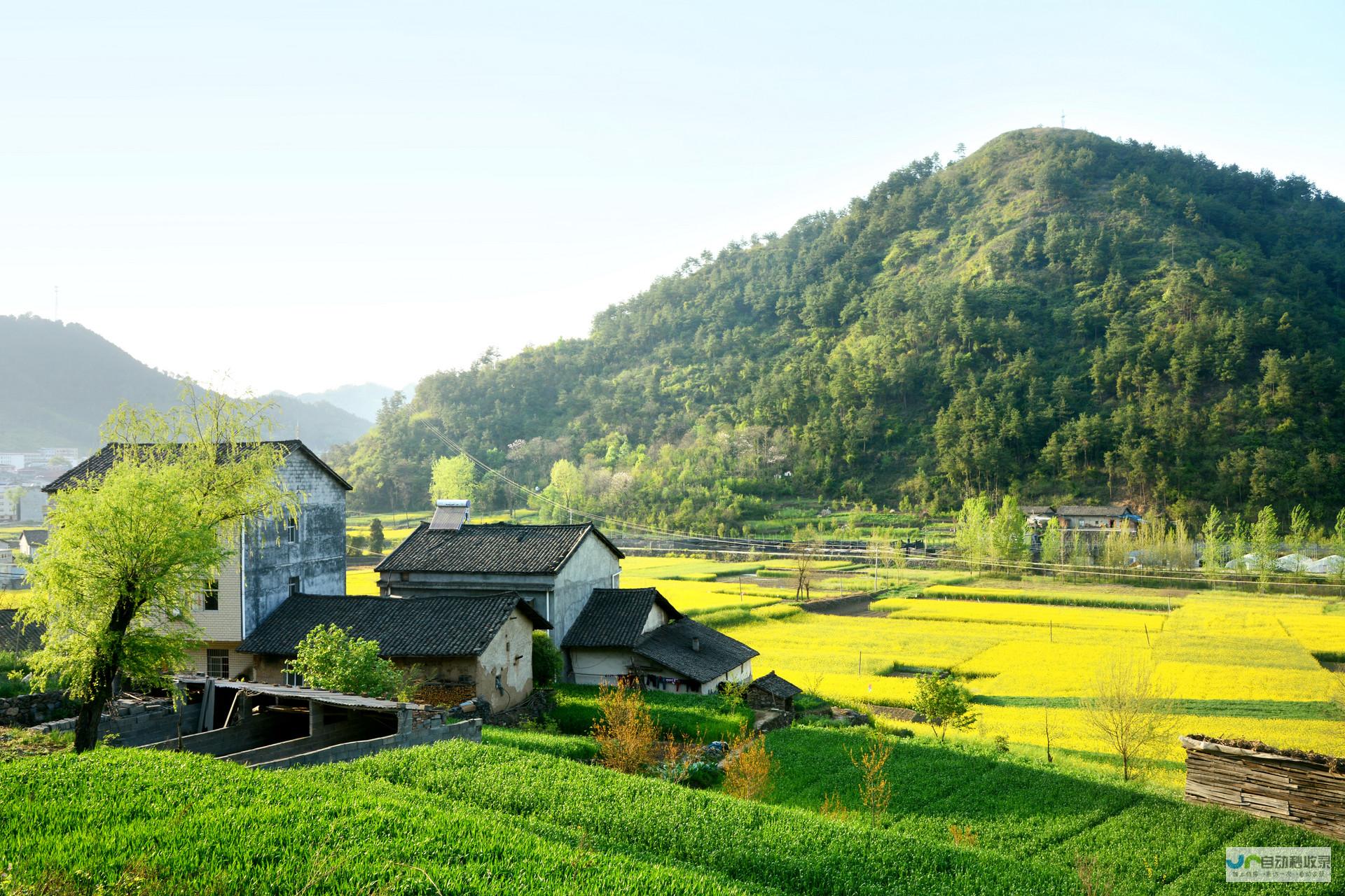 瞩目中国旅游乡村新篇章