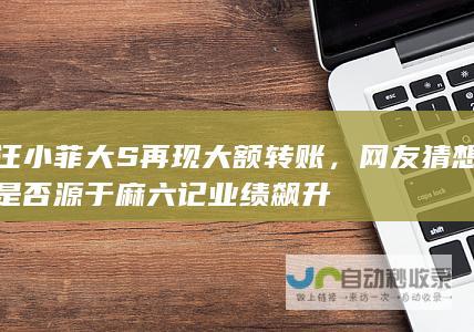 汪小菲大S再现大额转账，网友猜想是否源于麻六记业绩飙升