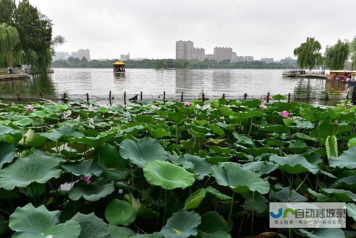 踏遍海右古亭，领略济南名士风采