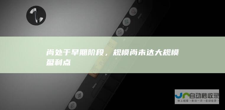 尚处于早期阶段，规模尚未达大规模盈利点