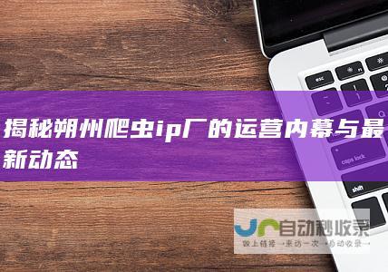 揭秘朔州爬虫ip厂的运营内幕与最新动态