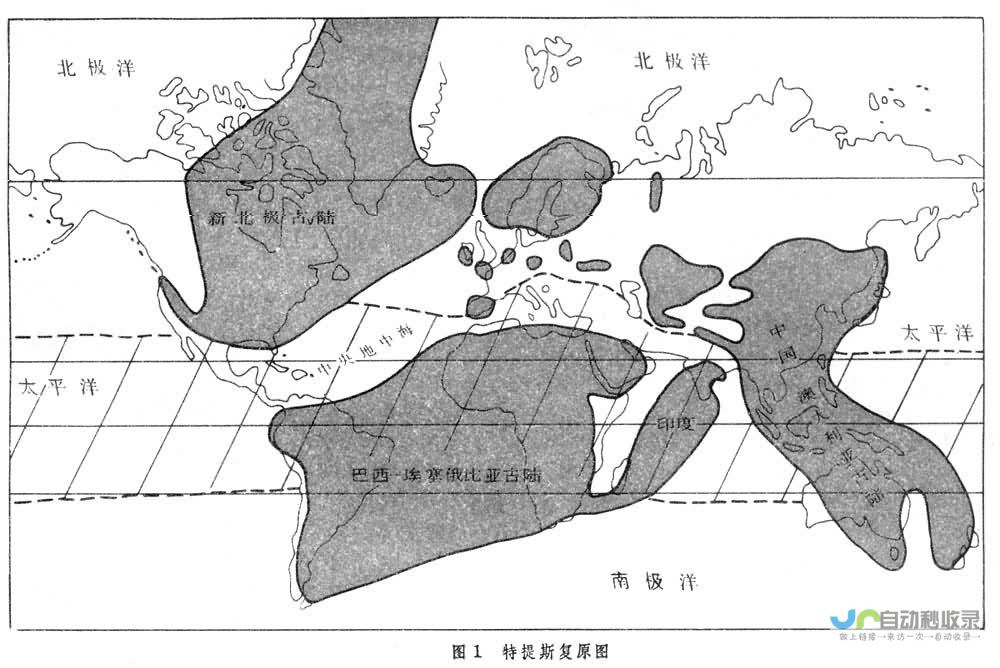 详细解读特斯拉与上汽合作可能性及未来展望。