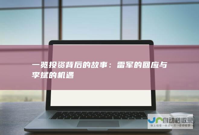 一览投资背后的故事：雷军的回应与李斌的机遇