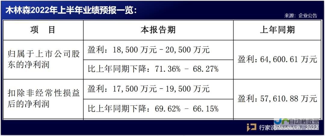 业绩亮点及未来展望