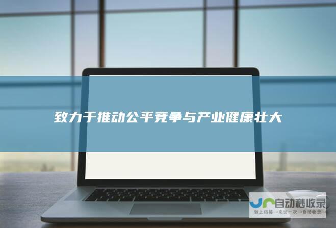 致力于推动公平竞争与产业健康壮大