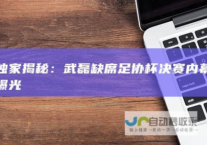 独家揭秘：武磊缺席足协杯决赛内幕曝光