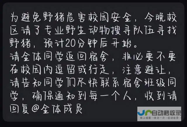 校园安全再次敲响警钟，野猪出没引发广泛关注与讨论