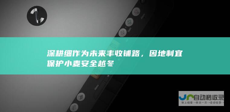 深耕细作为未来丰收铺路，因地制宜保护小麦安全越冬