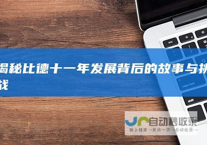 揭秘比德十一年发展背后的故事与挑战