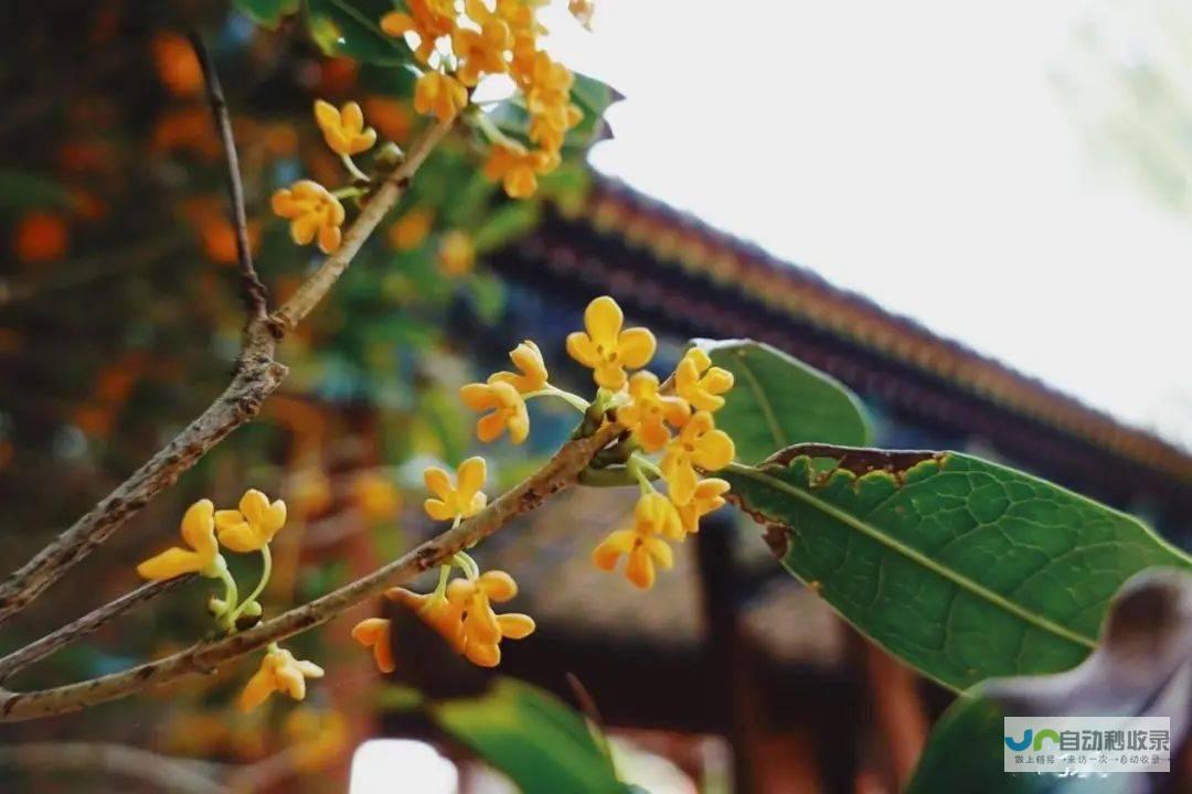 看遍天山南北，新疆真实写照解读之旅