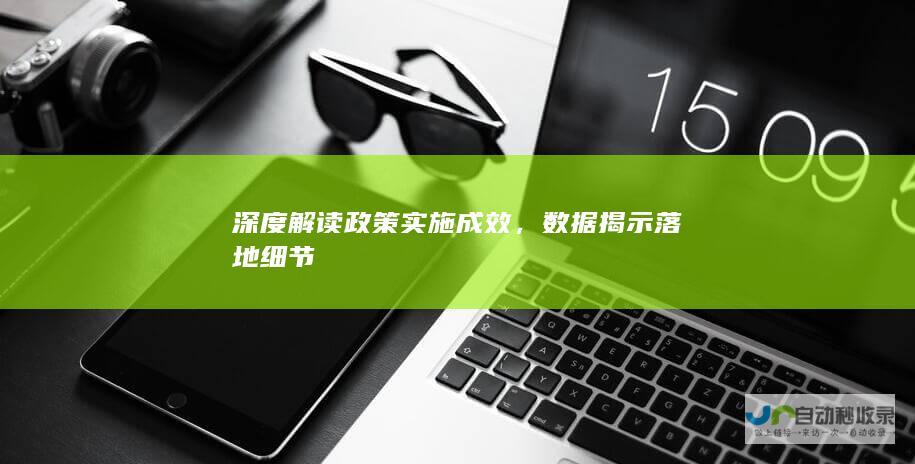 深度解读政策实施成效，数据揭示落地细节