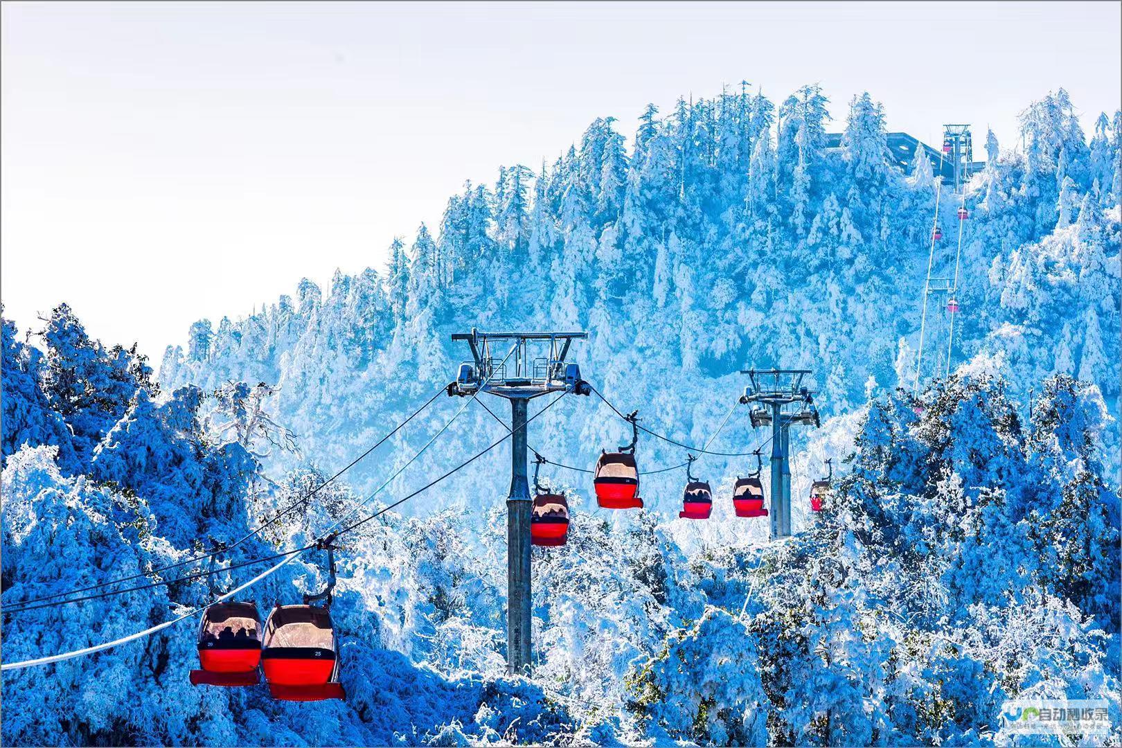 冰雪盛宴，共赴冬日激情之旅