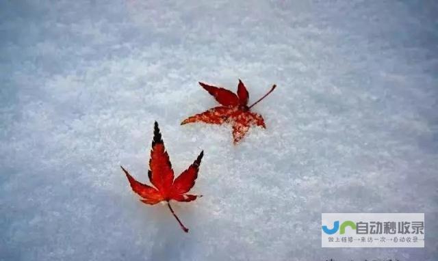 冰雪季节的浪漫探险