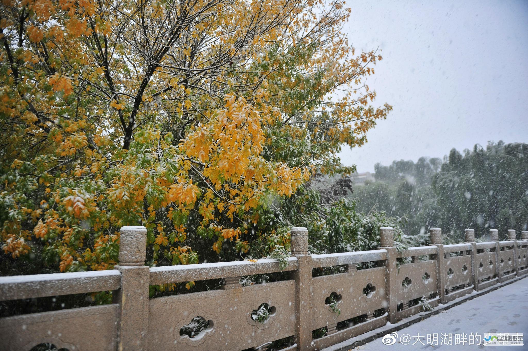 雪落边疆冬日魅力绽放