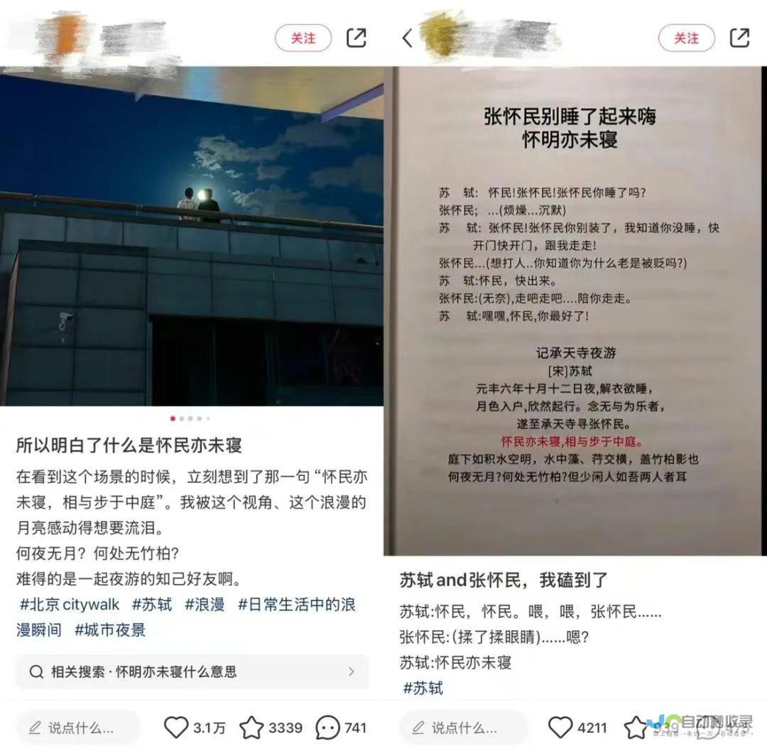 怀民亦未寝老梗出新