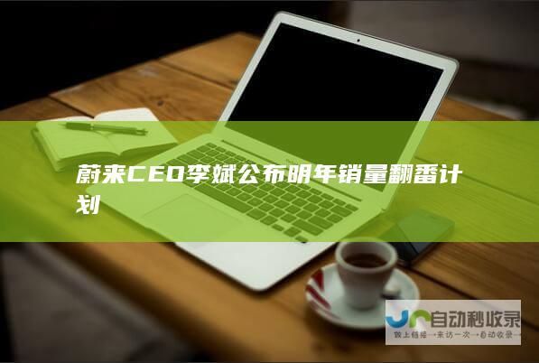 CEO李斌公布明年销量翻番计划