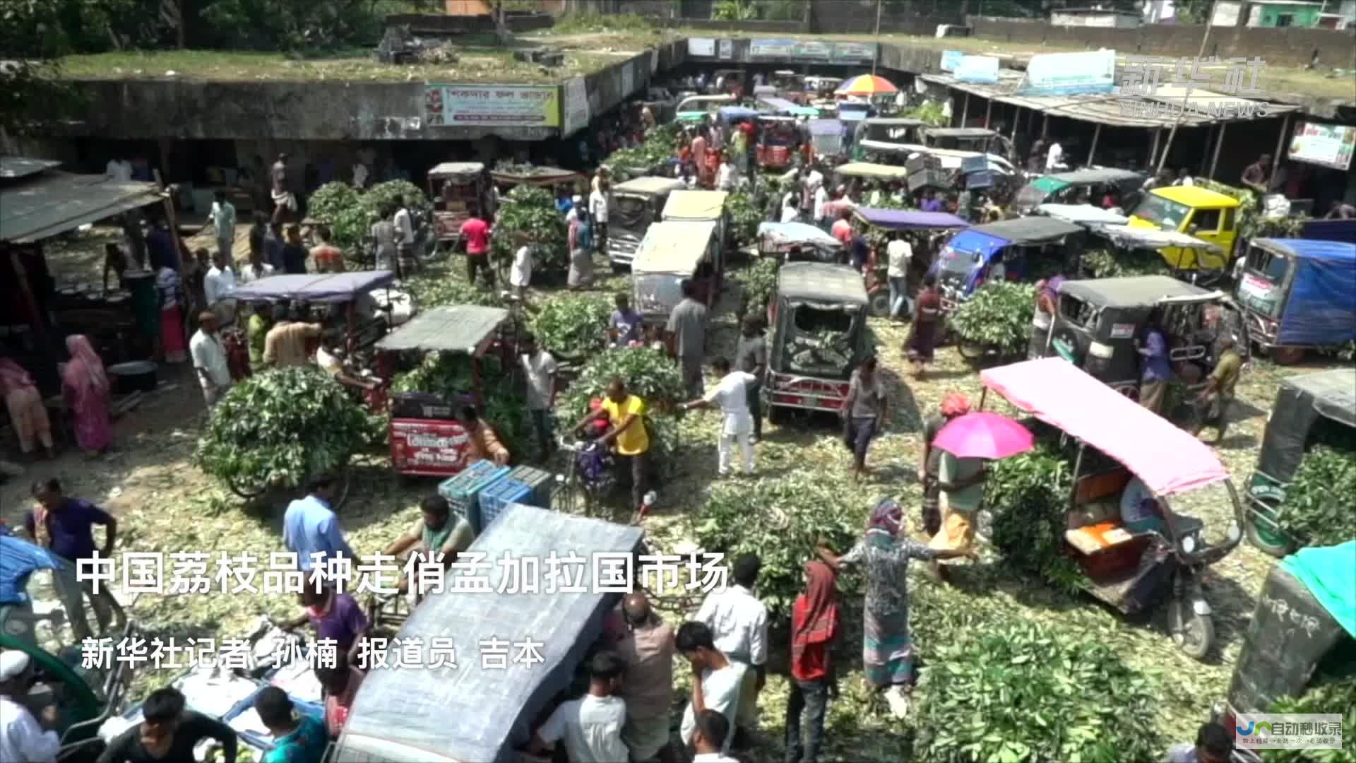 孟加拉国市场迎来爱玛电动车，绿色出行革新篇章开启