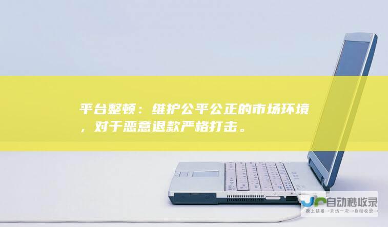 平台整顿：维护公平公正的市场环境，对于恶意退款严格打击。