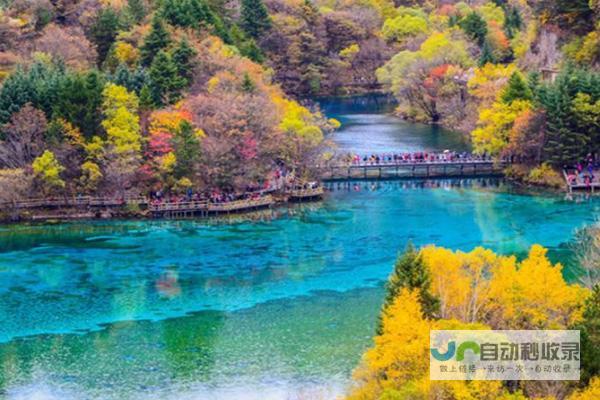 春节旅游最佳选择与行程安排 过年三亚旅游攻略分享